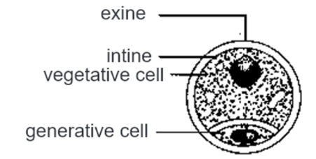 Solution Image