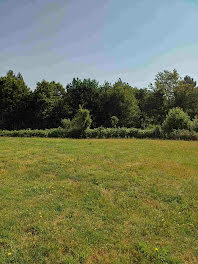 maison neuve à La Chaize-le-Vicomte (85)