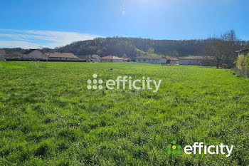 terrain à Champier (38)