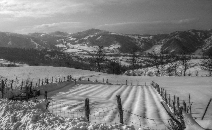 Raccolto invernale di CobraPel