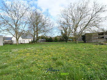 terrain à Brissac-Quincé (49)