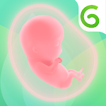 Cover Image of Download GLOW. Pregnancy & Baby Tracker 3.8.7 APK