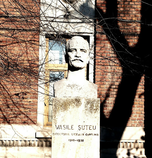 Bust Vasile Suteu