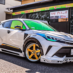 C-HR ZYX11