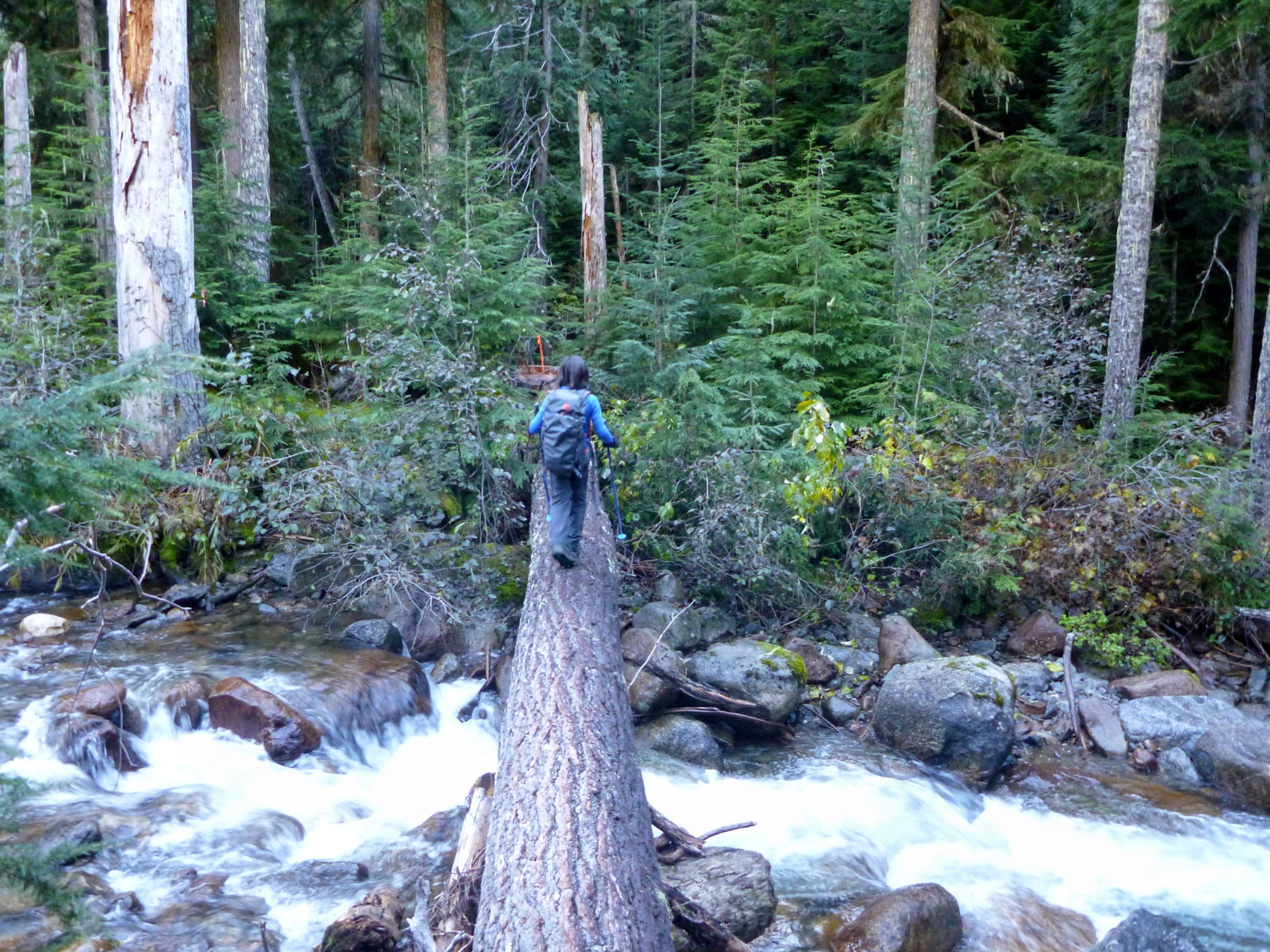 Helpful log bridge