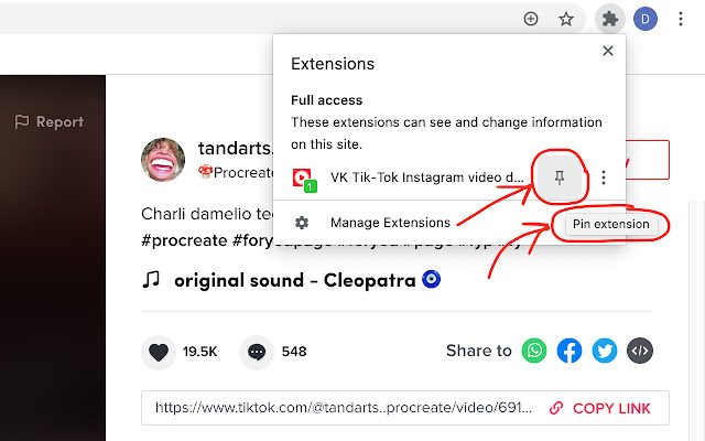 VK Tik-Tok Instagram video downloader chrome extension