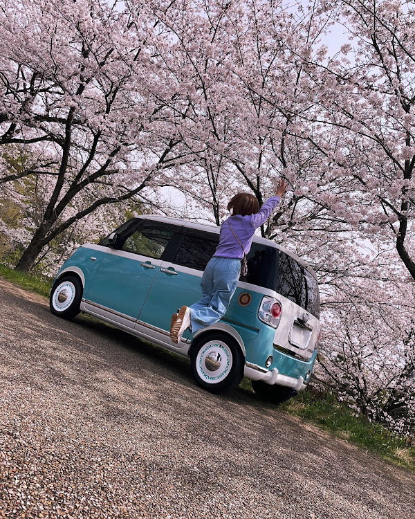 ムーヴキャンバスのサクラと愛車に関するカスタム事例の投稿画像1枚目