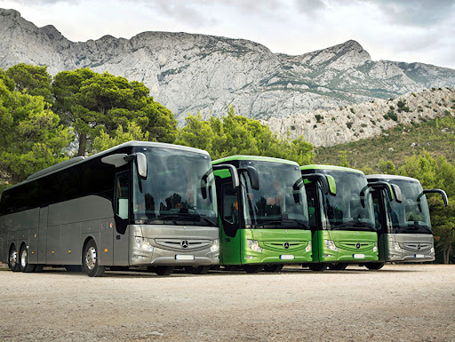 Tiwarituorandyravels