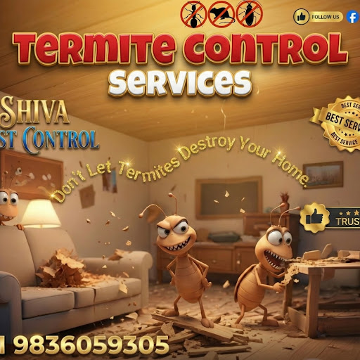 Termite treatment