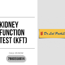 KIDNEY FUNCTION TEST (KFT)