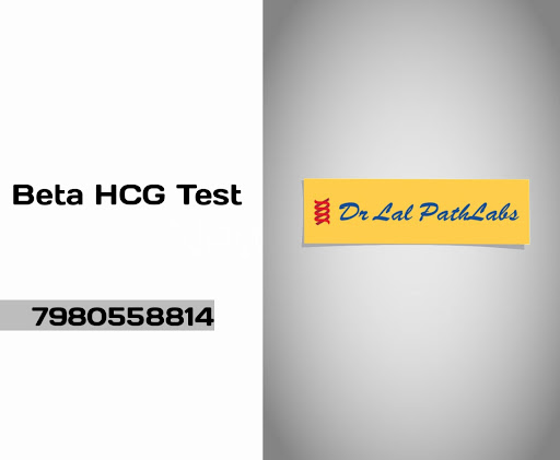 Beta HCG Test