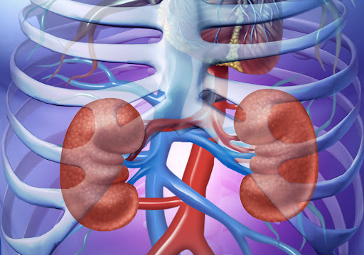Kidney Function Test (KFT-5) (5 parameter)