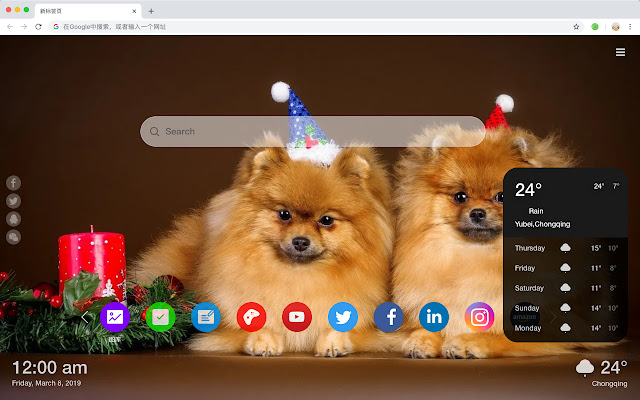 Puppy popular pet HD new tab page theme