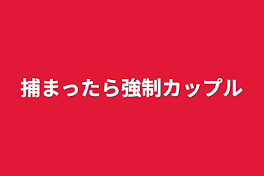 捕まったら強制カップル