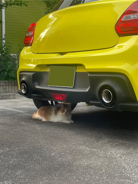 スイフトスポーツのネコ・スイスポzc33sに関するカスタム事例の投稿画像1枚目