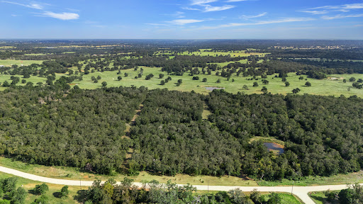 Land 5
