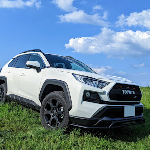 RAV4 MXAA54