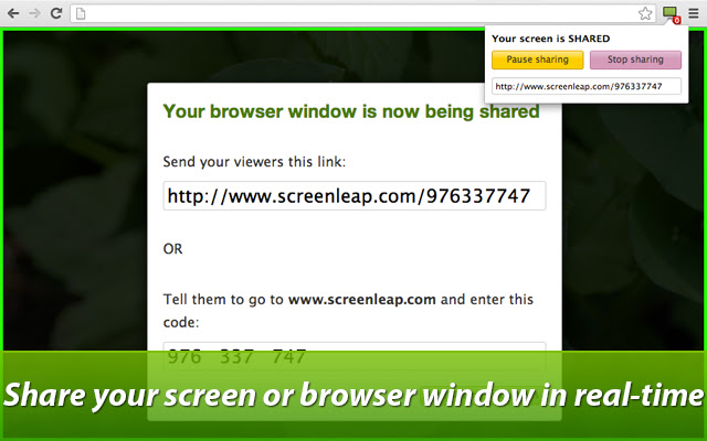 Screenleap chrome extension