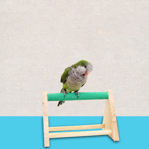 Title 2, Solid Wood Pet Supplies Stand Elevates bowls, i...