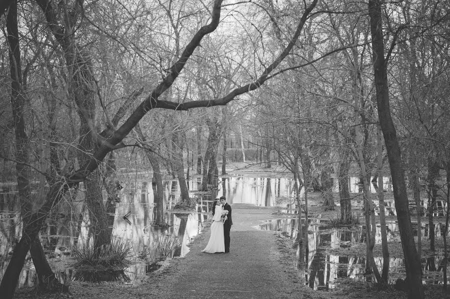 Wedding photographer Vladimir Vershinin (fatlens). Photo of 21 April 2016