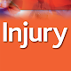 Injury Download on Windows
