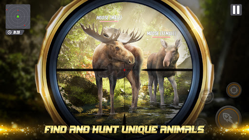 Screenshot Deer Hunting : Big Buck Hunter