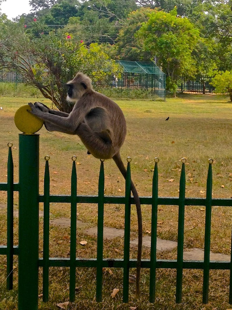 "Comodo" Equilibrio di Alessandra Alba