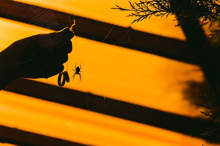 Vestuvių fotografas Liza Karazhova (lizaka). Nuotrauka 2016 lapkričio 9