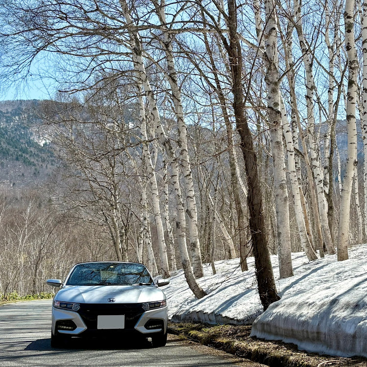 S660の奥志賀高原・地獄谷野猿公苑・志賀草津高原ルート・渋峠・雪の回廊に関するカスタム事例の投稿画像1枚目