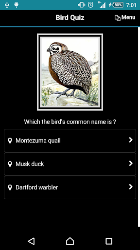 Bird Quiz