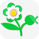 Indoor Plant Guide Pocket Edition Download on Windows