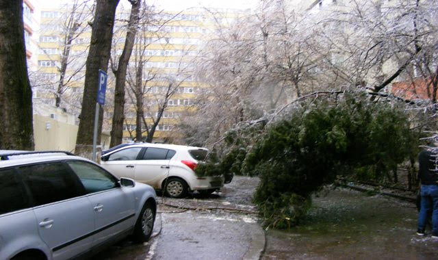 MANY SHARED PHOTOS WITH FREEZING RAIN BUCHAREST 2019