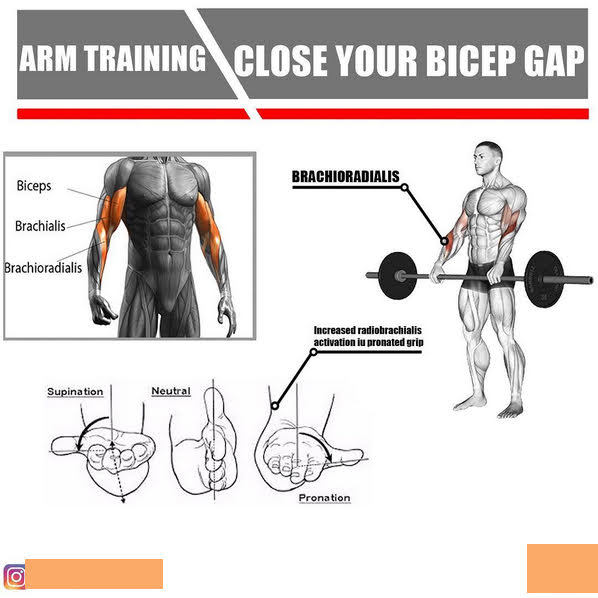 Fitness Influencers on "Bicep Gap" image from Instagram showing misleading information