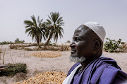 Mahamadou Ousmane, farmer, contemplates the land formerly fed by the annual floods of the Niger river, in Lake Faguibine area, northern Mali on May 28, 2021.