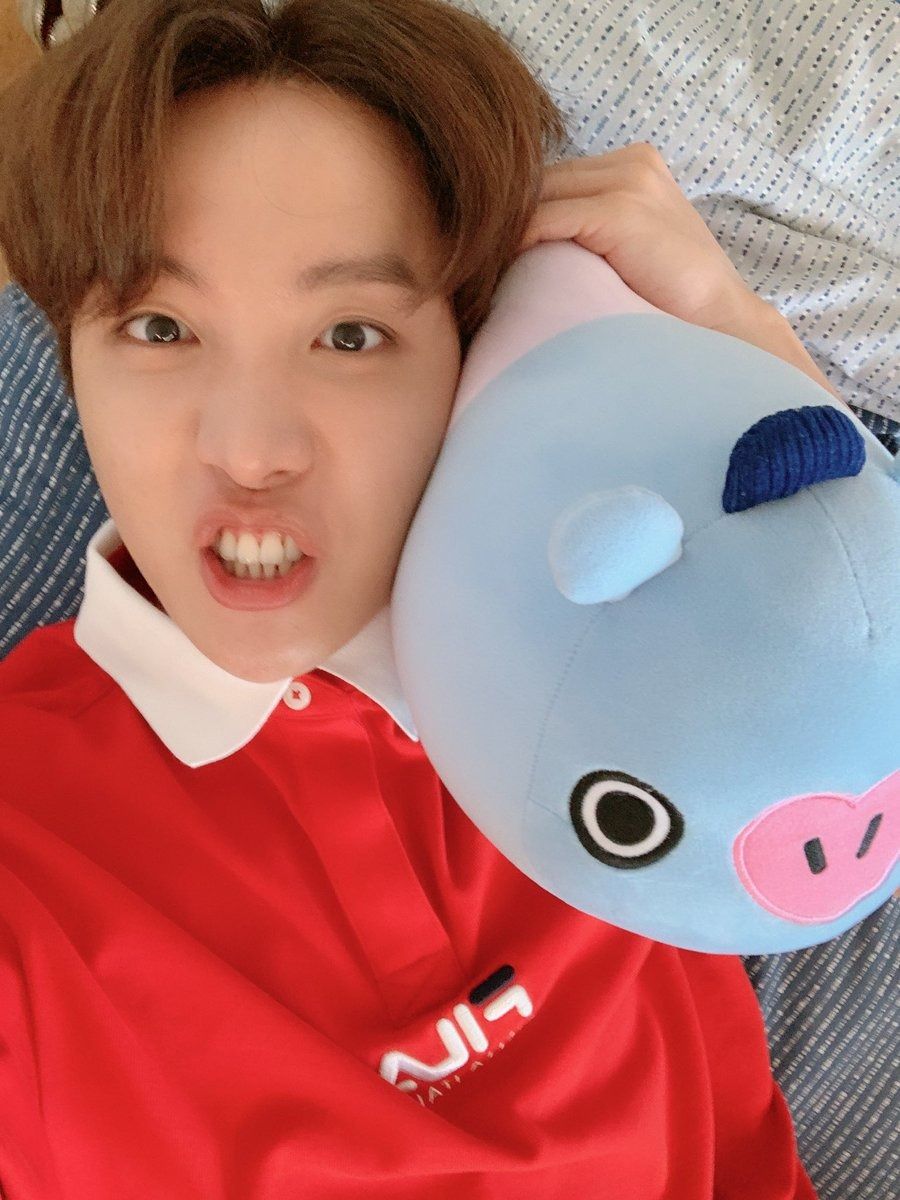 Bts'S J-Hope Just Gave Mang A Brand New Ability - And It'S The Cutest Thing  You'Ll See Today - Koreaboo