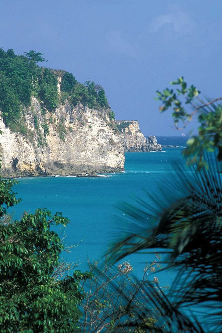 See the dramatic Dampierre Cliffs in Basse-Terre, Guadeloupe.