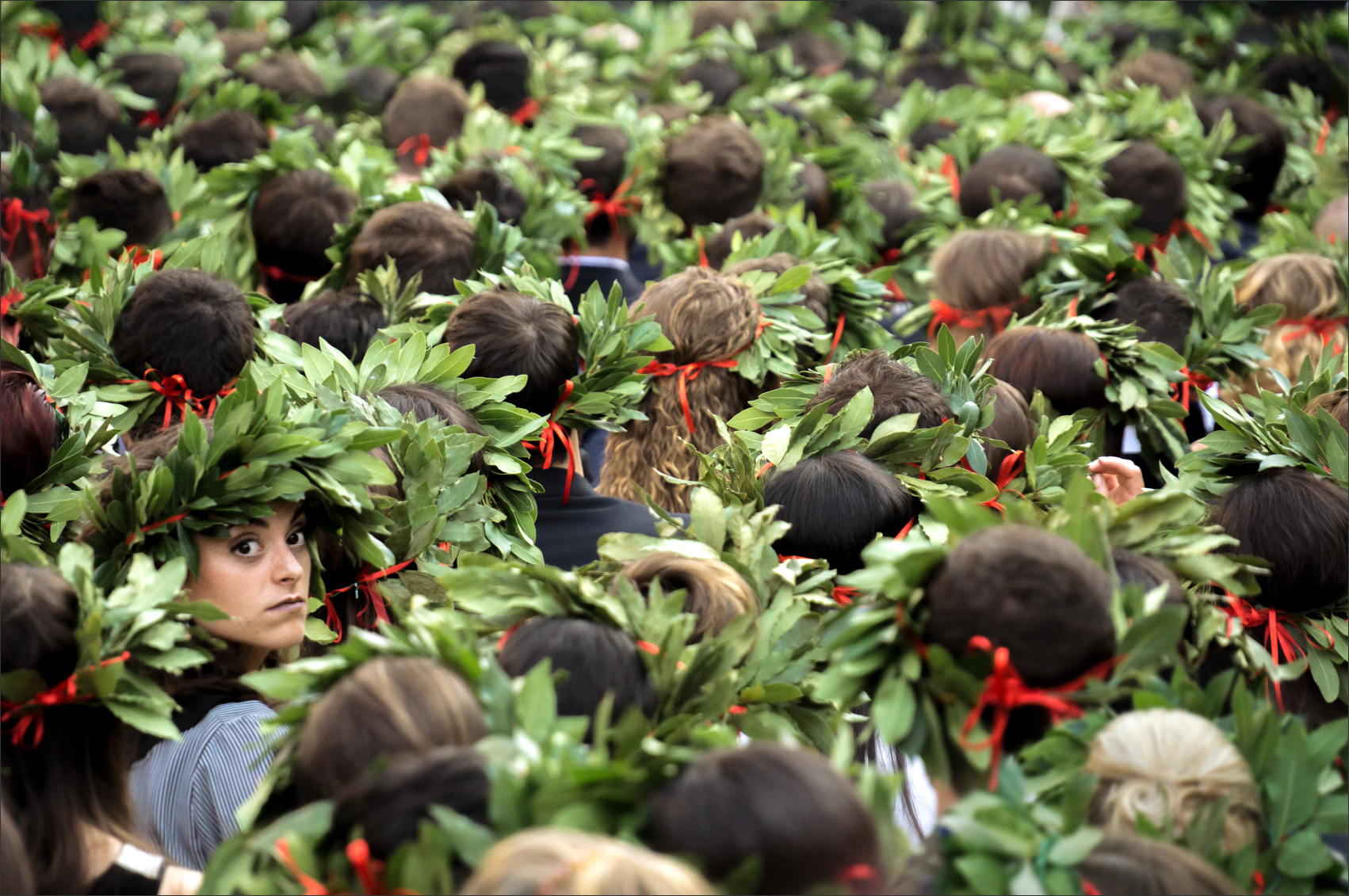 Selva di neolaureati di alberto raffaeli