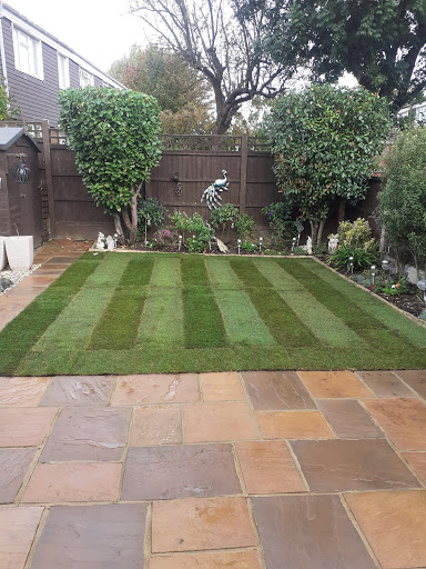Shrubs  trimmed, new lawn 