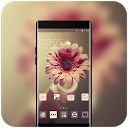 Flower rose theme | wallpaper for lenovo  2.0.1 APK Descargar