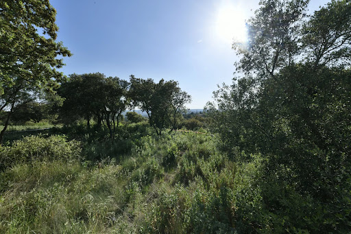 Land with panoramic view 5