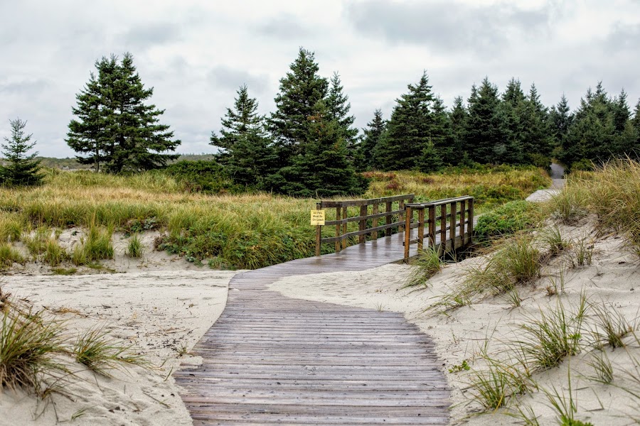 Crystal Crescent Beach Provincial Park