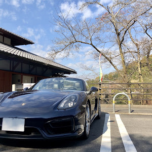 ボクスター 981MA123