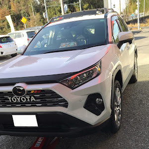 RAV4 MXAA54