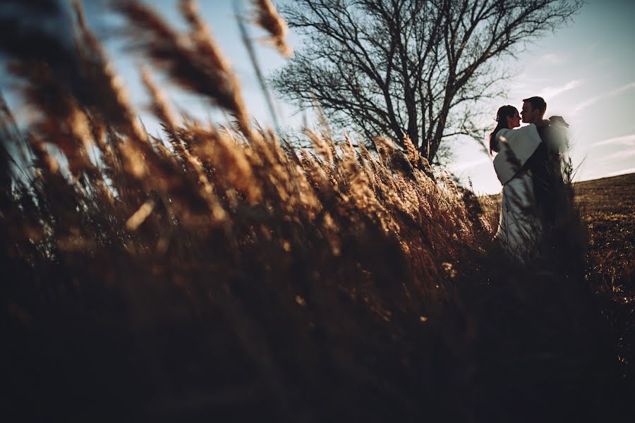 Hochzeitsfotograf Lara Albuixech (albuixech). Foto vom 27. Januar 2017