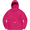 polartec® hooded sweatshirt fw21