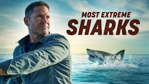 Most Extreme Sharks thumbnail