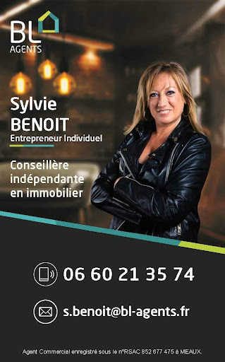 Logo de BENOIT SYLVIE