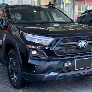 RAV4 AXAH54