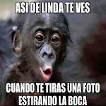 Imagenes locas Apk