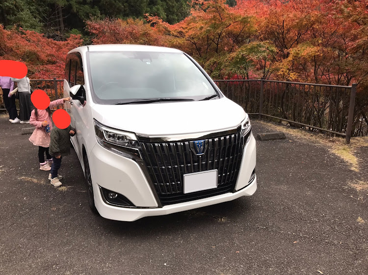 エスクァイアのコロナウイルスに負けるな・紅葉と愛車・2021ベストショット・11月にエントリーしますに関するカスタム事例の投稿画像3枚目